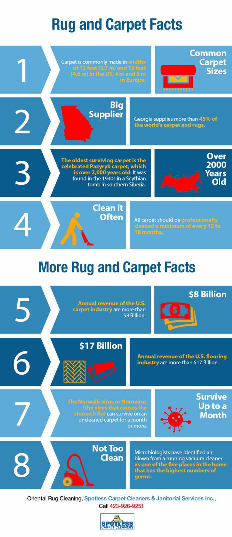 Rug and Carpet Facts Shared Info Graphics