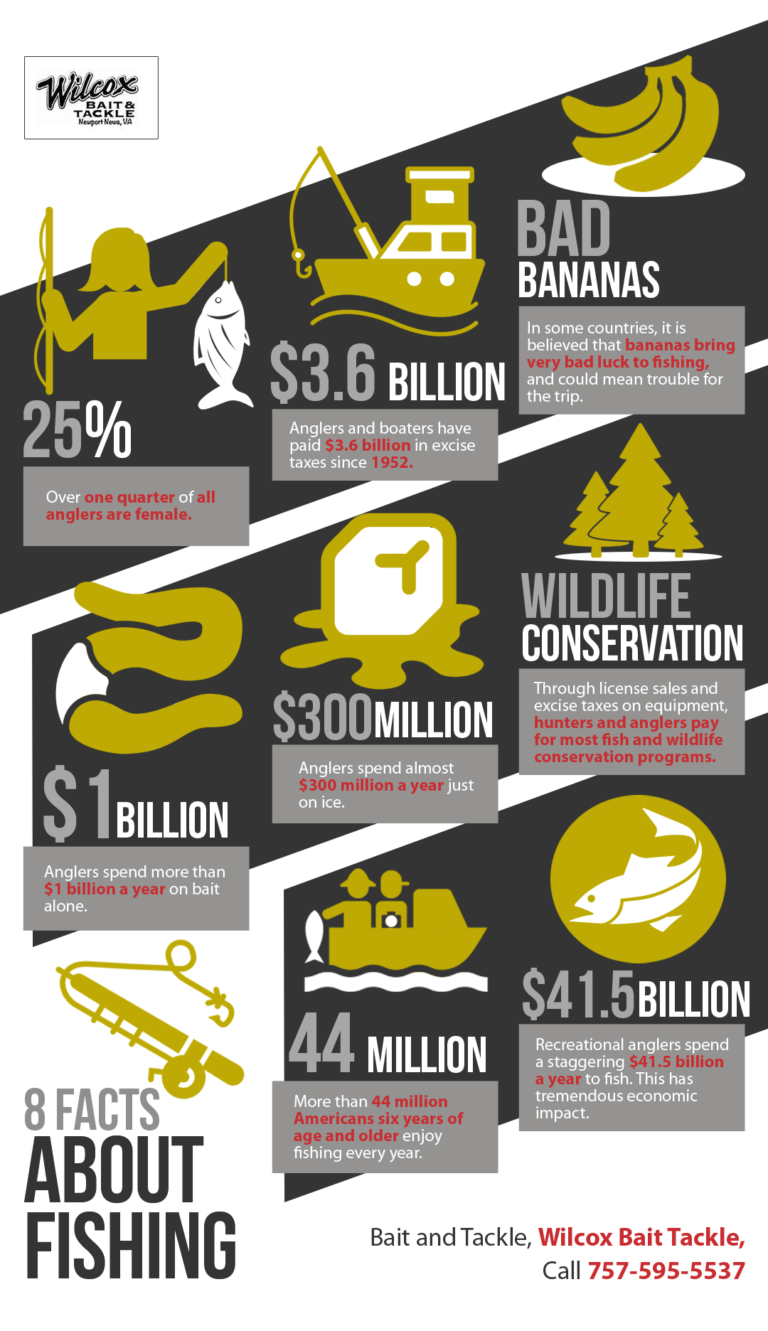 8 Facts About Fishing Shared Info Graphics