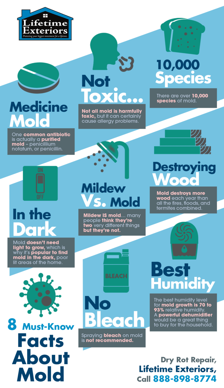 8 MustKnow Facts About Mold Shared Info Graphics