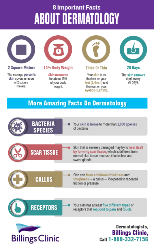 8 Important Facts About Dermatology  Shared Info Graphics