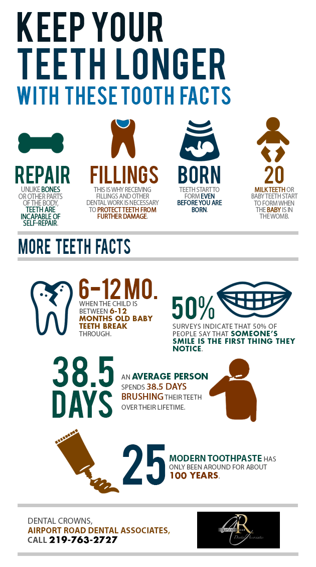 Keep Your Teeth Longer with These Tooth Facts | Shared Info Graphics