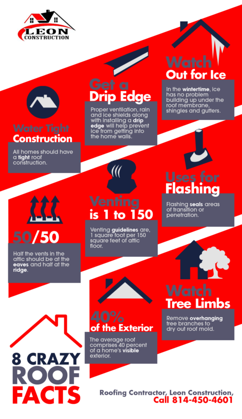 8 Crazy Roof Facts Shared Info Graphics