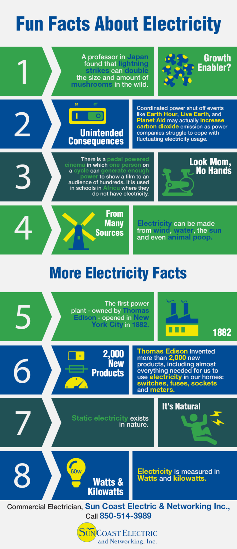 Fun Facts About Electricity | Shared Info Graphics
