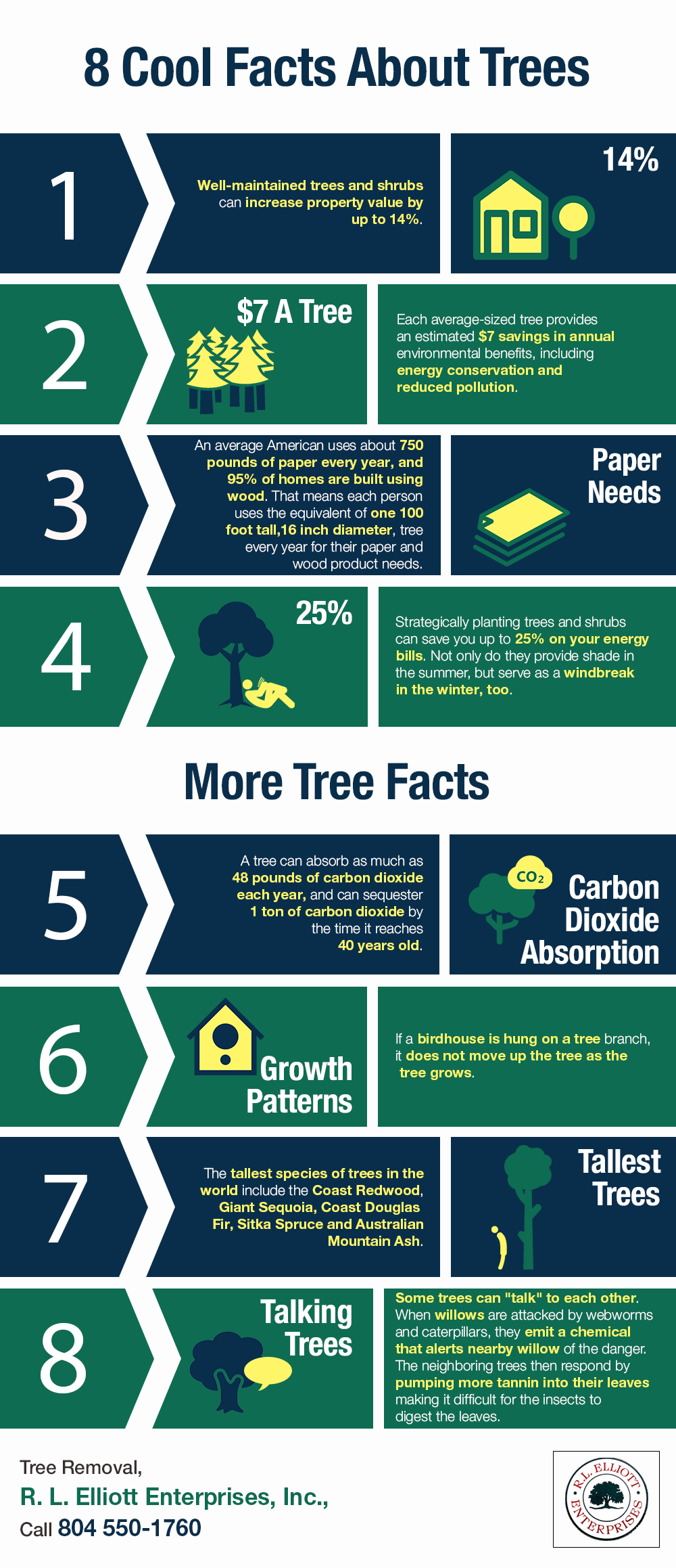 8 Cool Facts About Trees | Shared Info Graphics