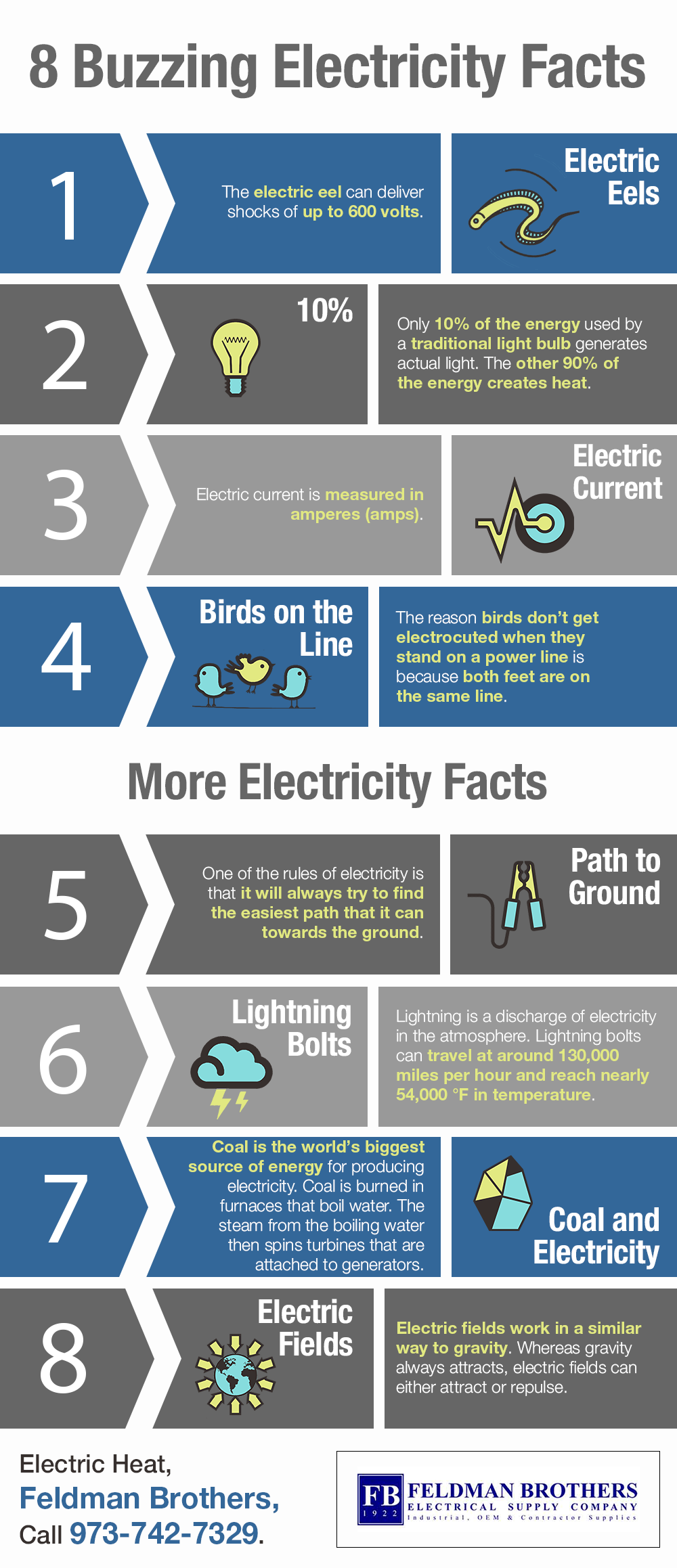 8 Buzzing Electricity Facts | Shared Info Graphics