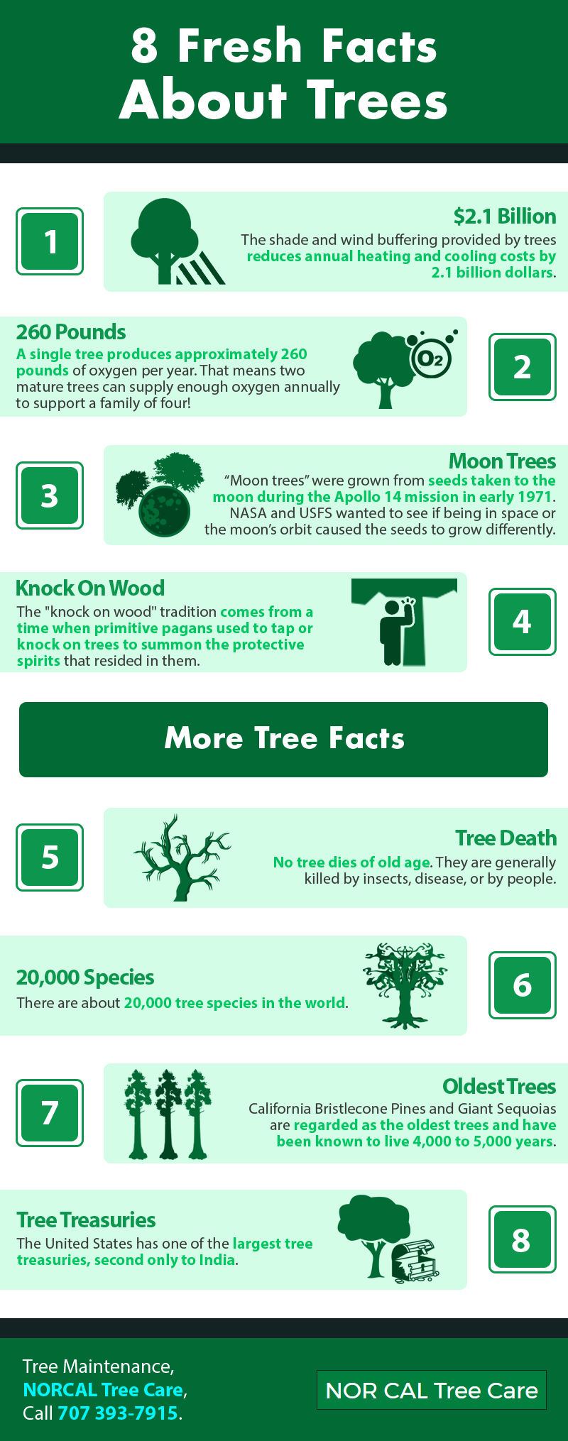 8 Fresh Facts About Trees | Shared Info Graphics