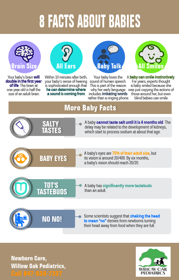 8 Facts About Babies | Shared Info Graphics