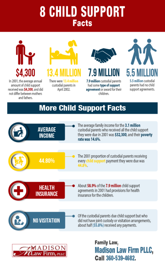 8 Child Support Facts | Shared Info Graphics