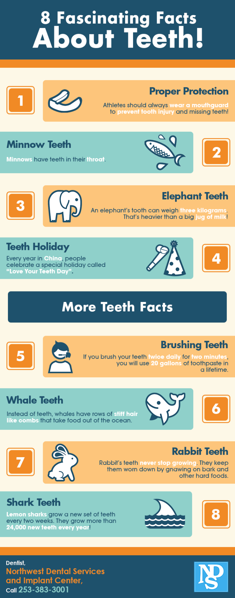 8 Fascinating Facts About Teeth! | Shared Info Graphics