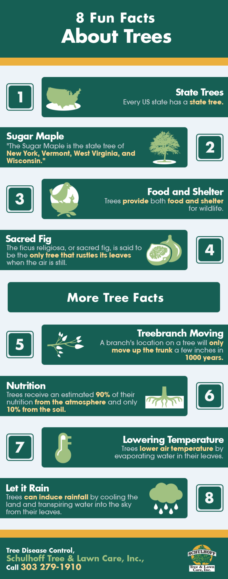 8 Fun Facts About Trees | Shared Info Graphics