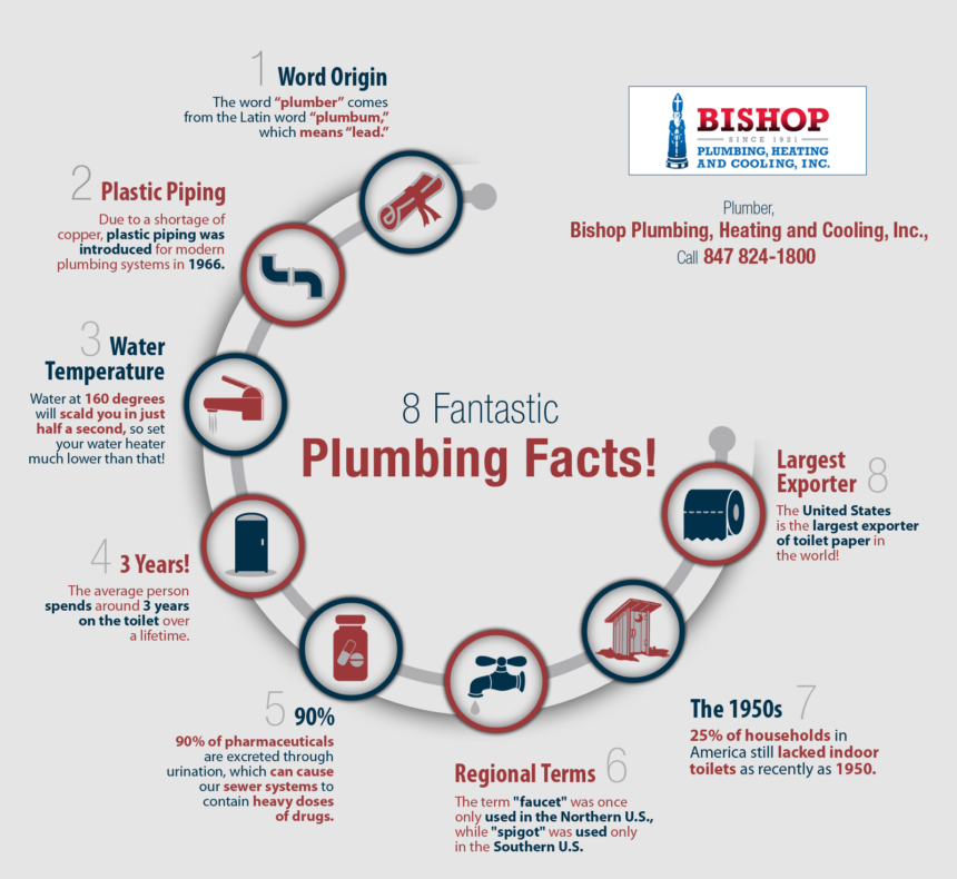 8 Fantastic Plumbing Facts Shared Info Graphics