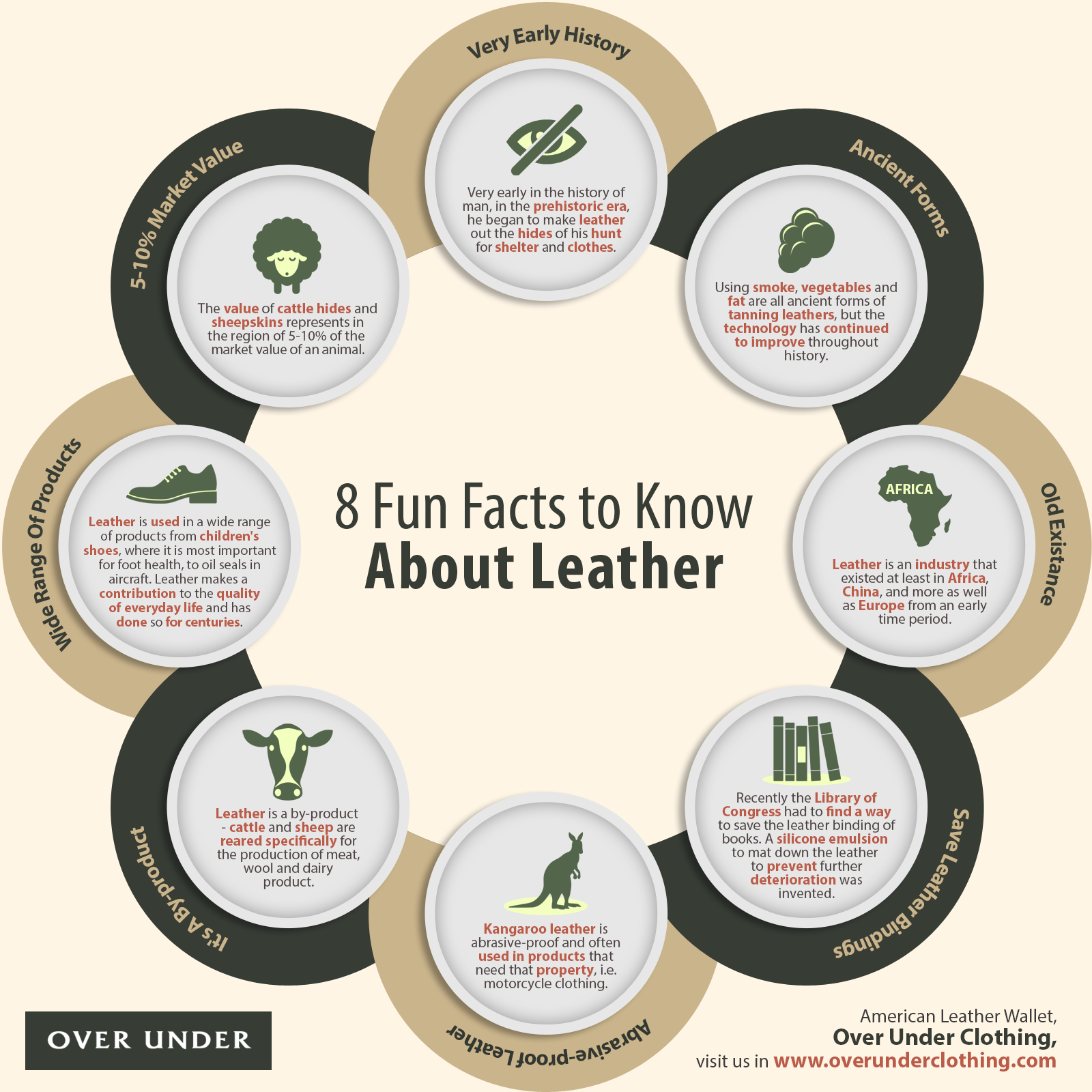 8-fun-facts-to-know-about-leather-shared-info-graphics